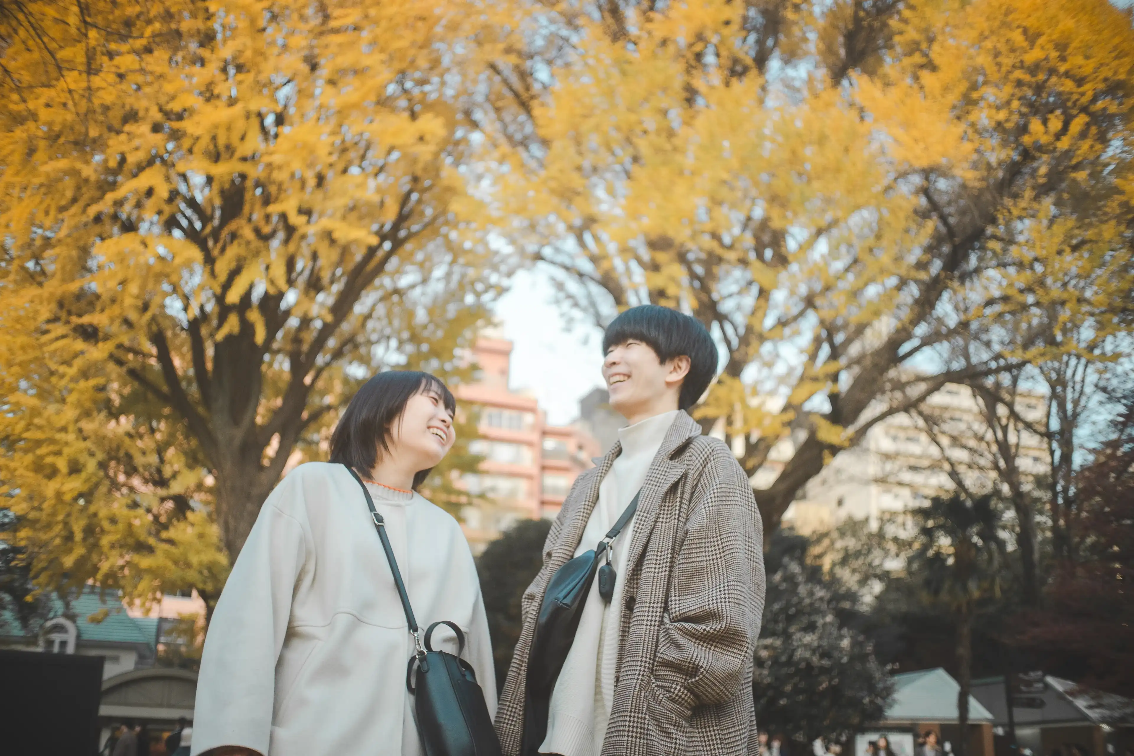 Dailyプランの撮影例