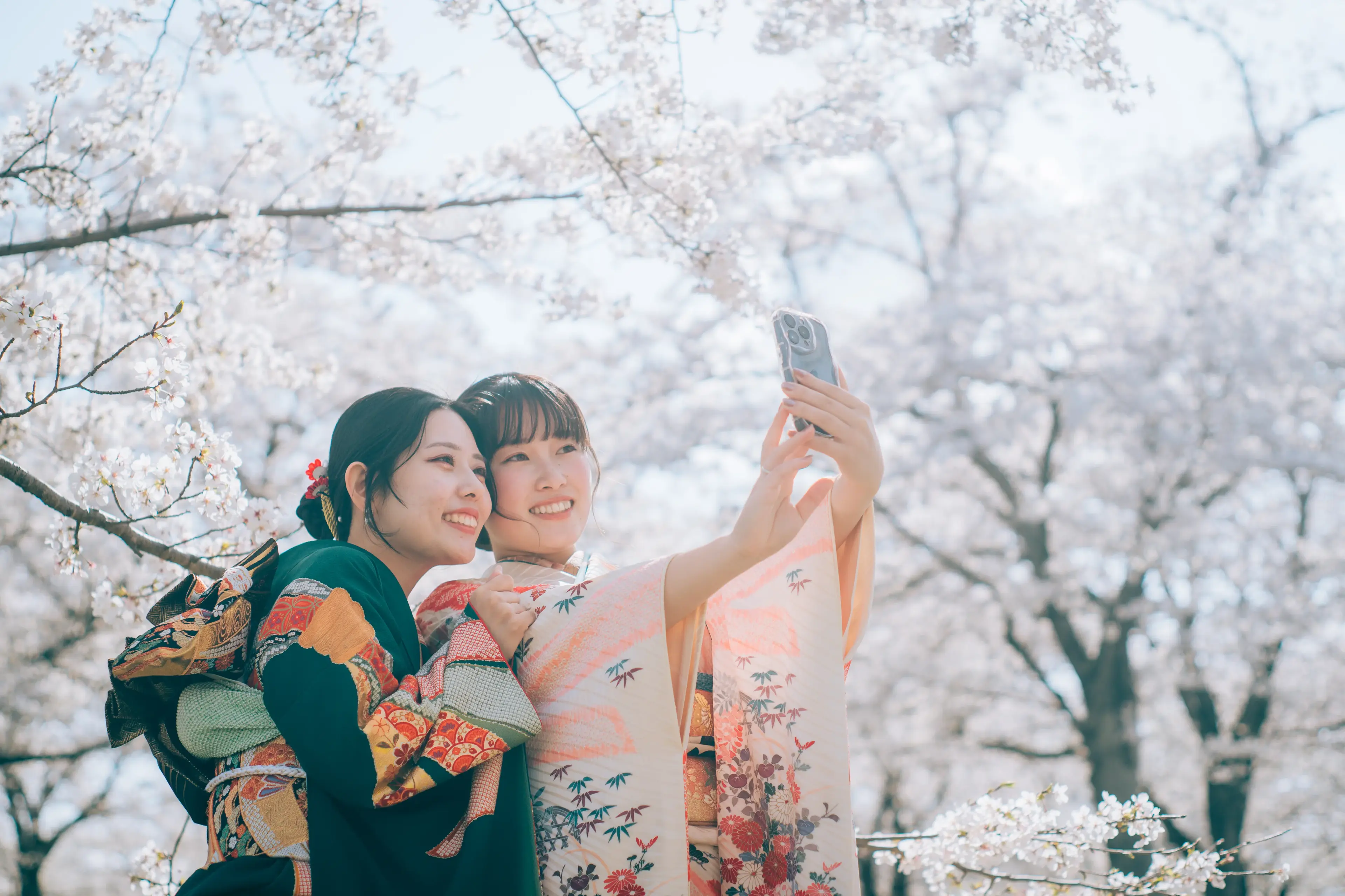 ハレの日・記念日プランのイメージ写真